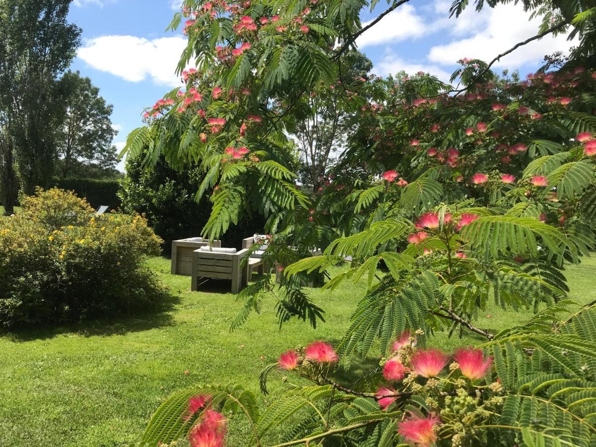 Logis De Pierre Levee Bed & Breakfast Bessines Bagian luar foto