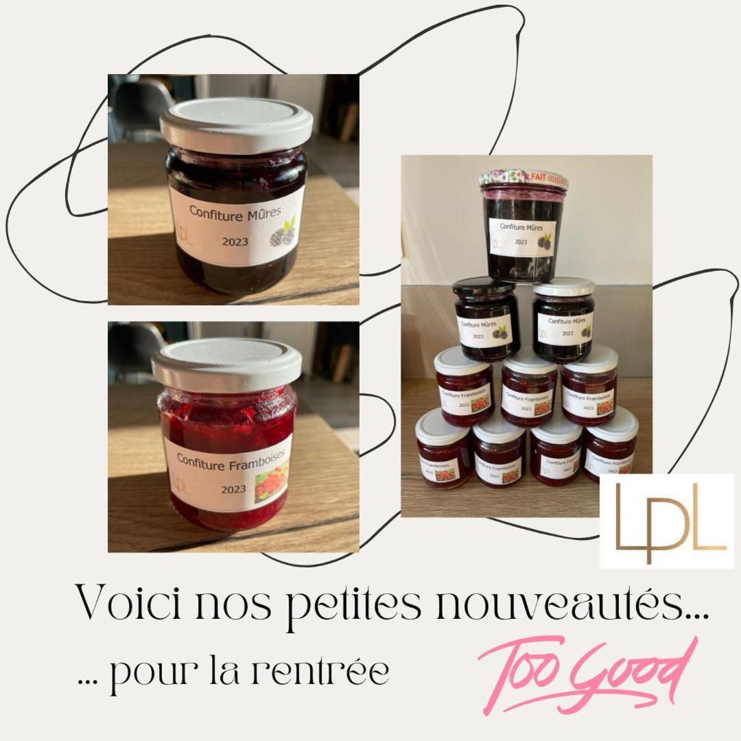 Logis De Pierre Levee Bed & Breakfast Bessines Bagian luar foto